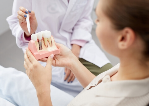 Dentist showing a dental implant model to a patient